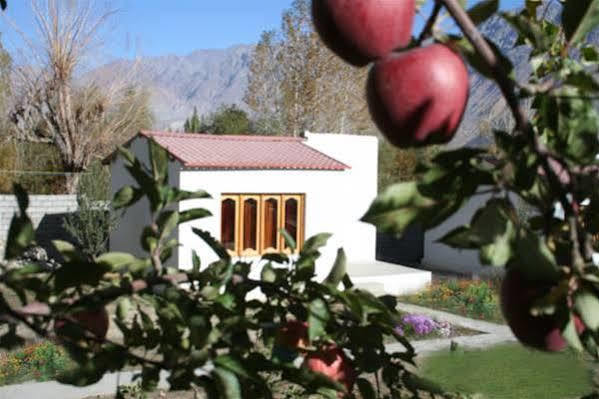 Himalayan Eco Resort Hundar Экстерьер фото